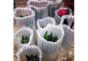 鮮花盆栽氣柱袋